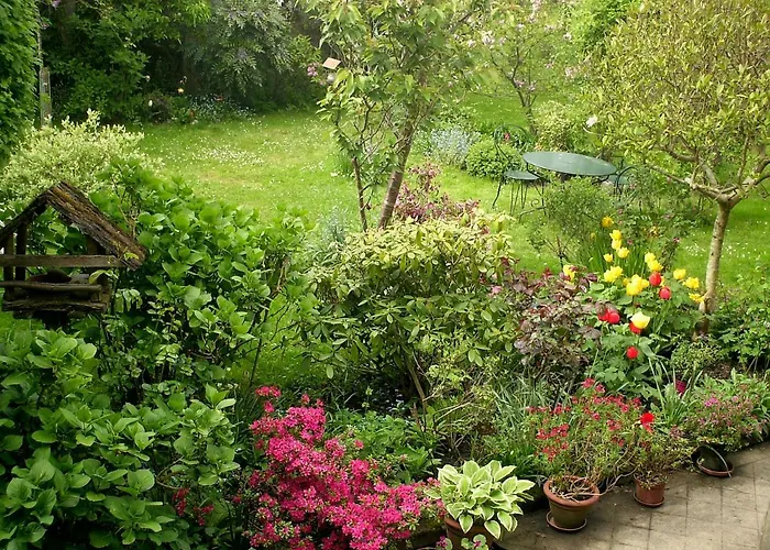 Les Hirondelles 招待所 Sainte-Suzanne (Mayenne)