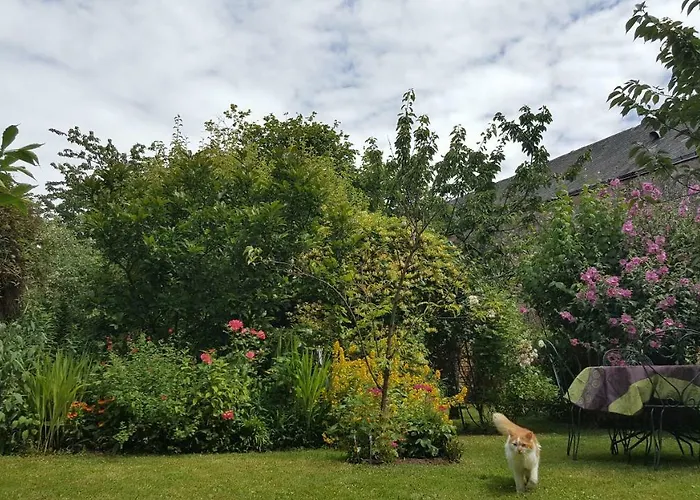 Les Hirondelles 3* Sainte-Suzanne (Mayenne)