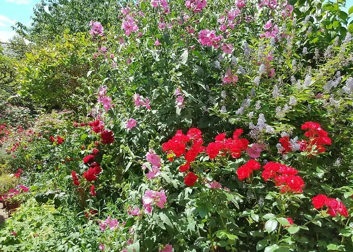 Les Hirondelles 3* Sainte-Suzanne (Mayenne)